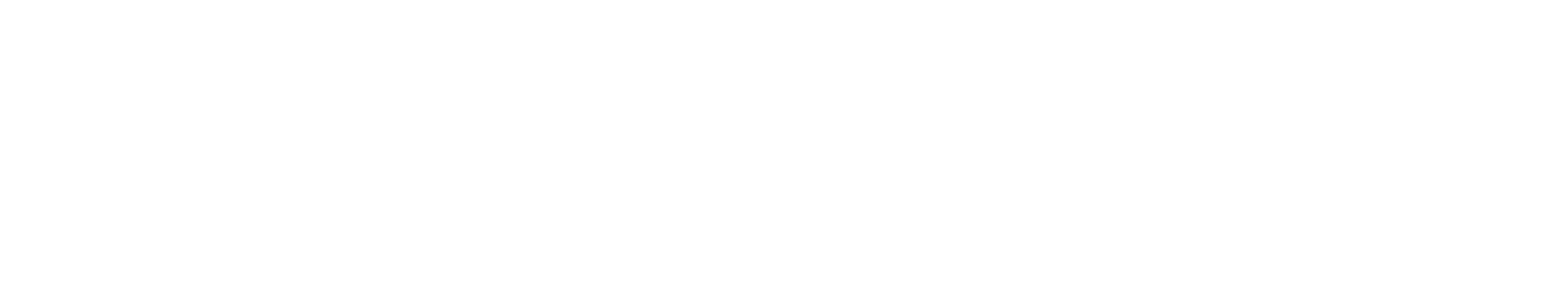 MTN Duck Press